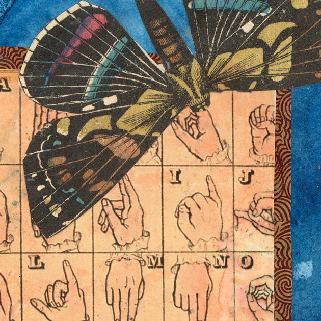 Butterflies for Bailey No. 160