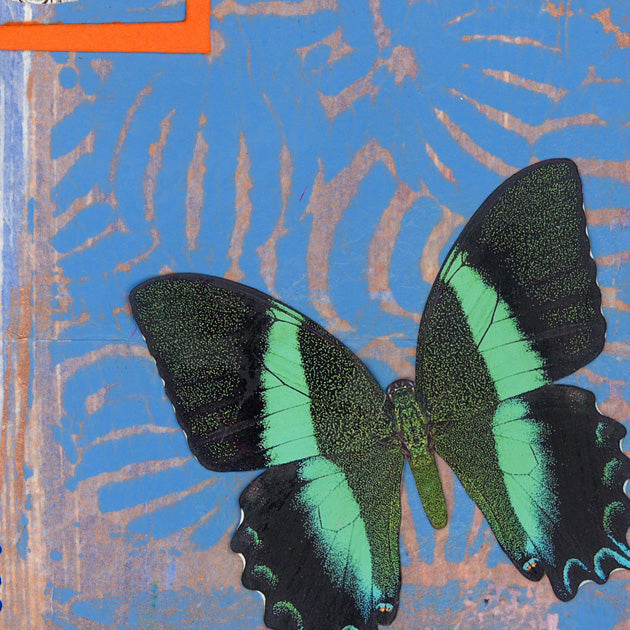 Butterflies for Bailey No. 180