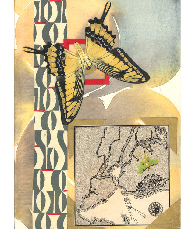 Butterflies for Bailey No. 181