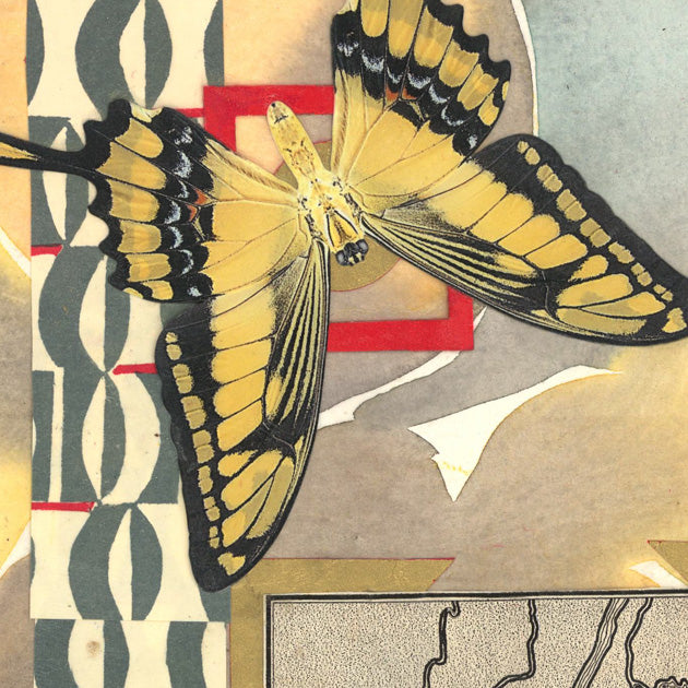 Butterflies for Bailey No. 181