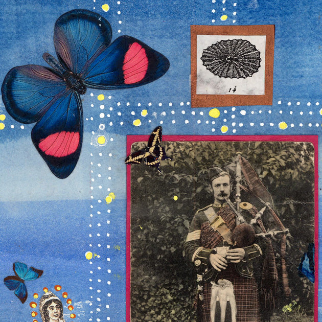 Butterflies for Bailey No. 185