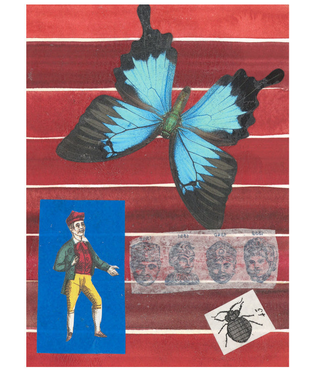 Butterflies for Bailey No. 186