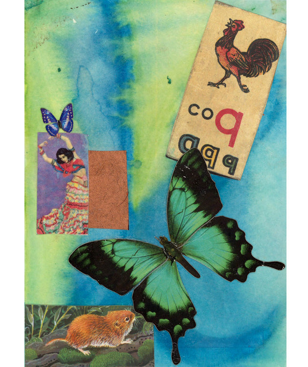 Butterflies for Bailey No. 188