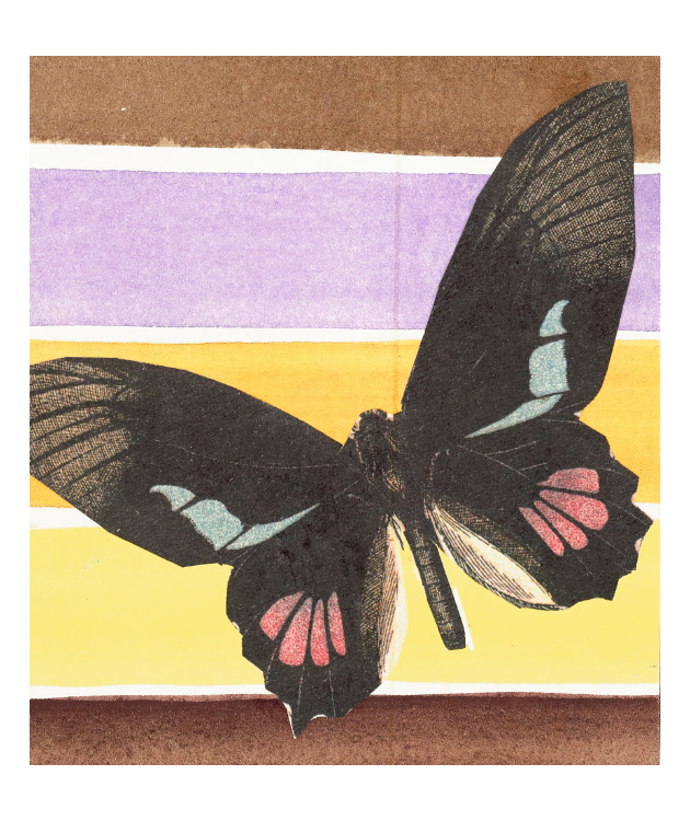 Albuquerque Matchbox