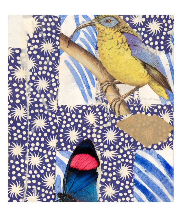 Bird and Butterfly Matchbox