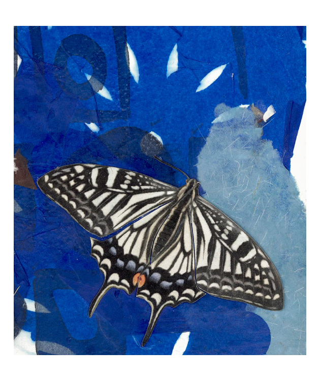 Blue Zone Matchbox