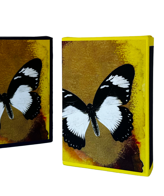 Bronze Butterfly Matchbox
