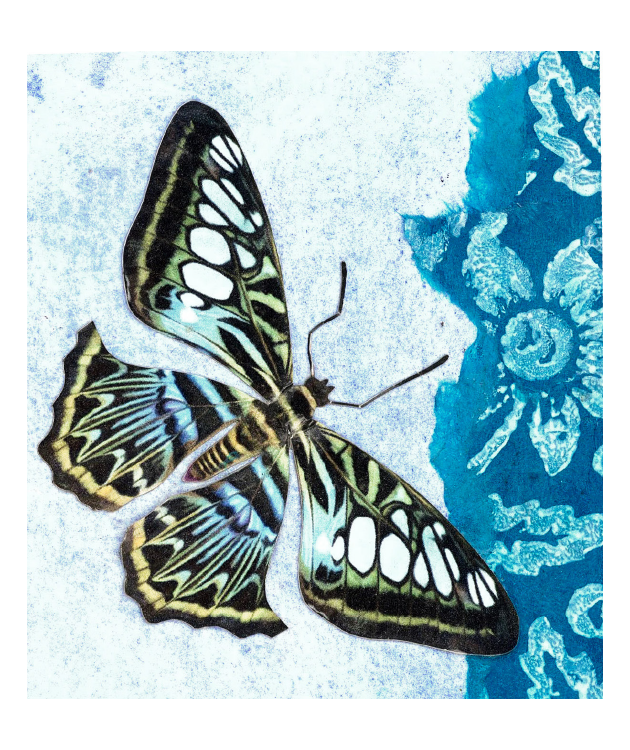 Cloud Butterfly Matchbox
