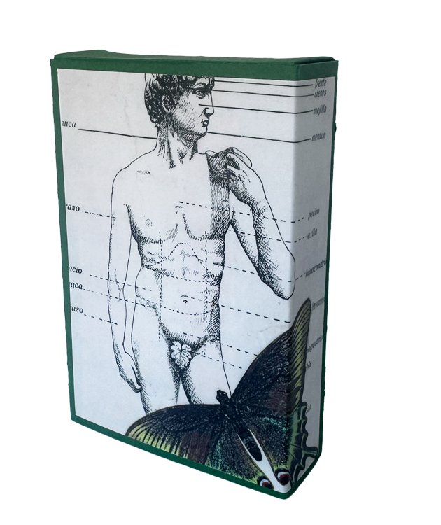 Fig Leaf Matchbox