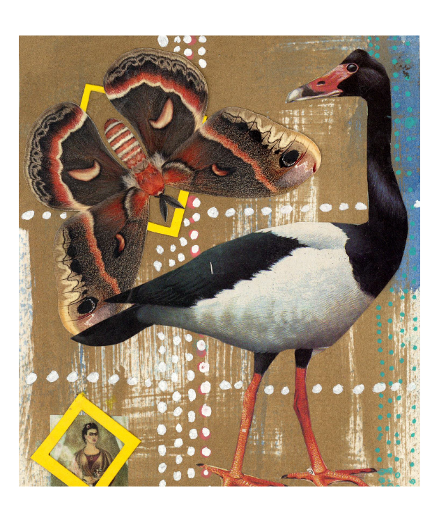 Goose Matchbox