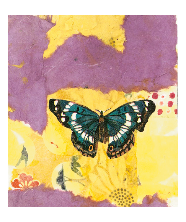 Purple Haze Matchbox