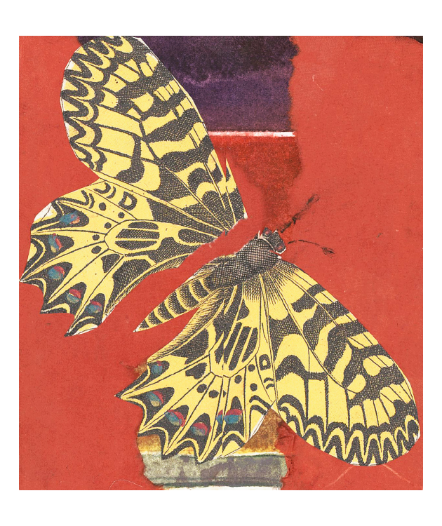 In the Red Matchbox