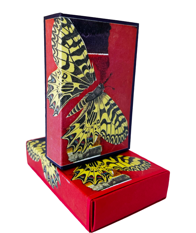 In the Red Matchbox