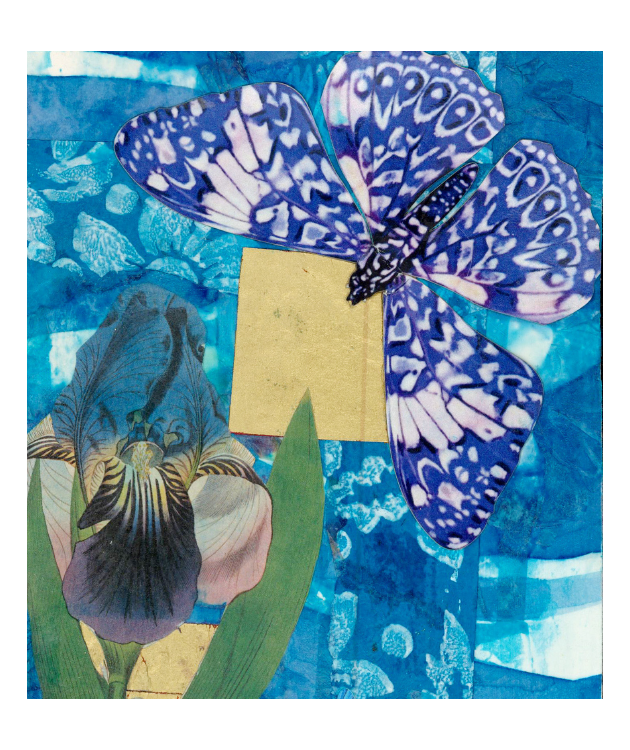 Iris Matchbox