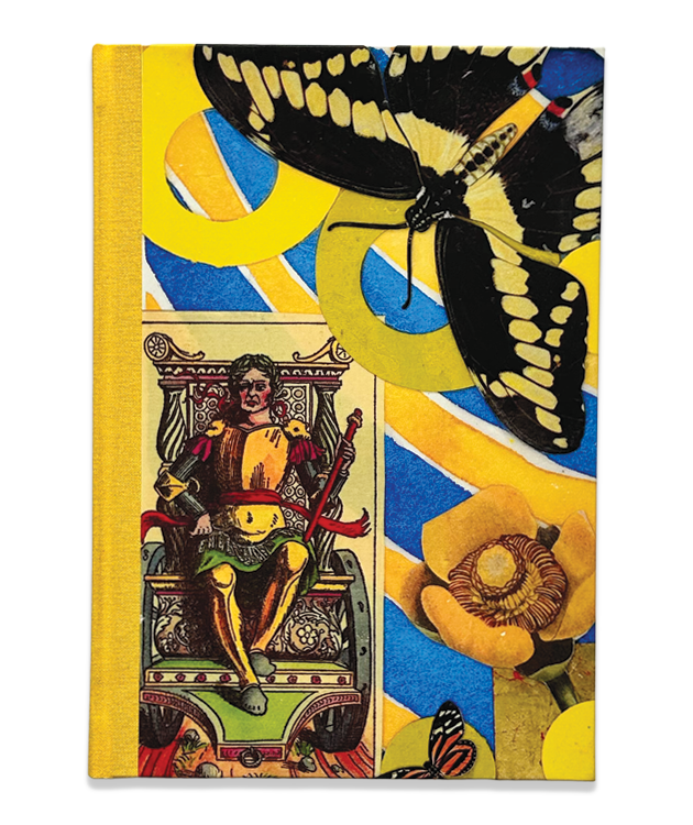 Butterfly Prince Journal