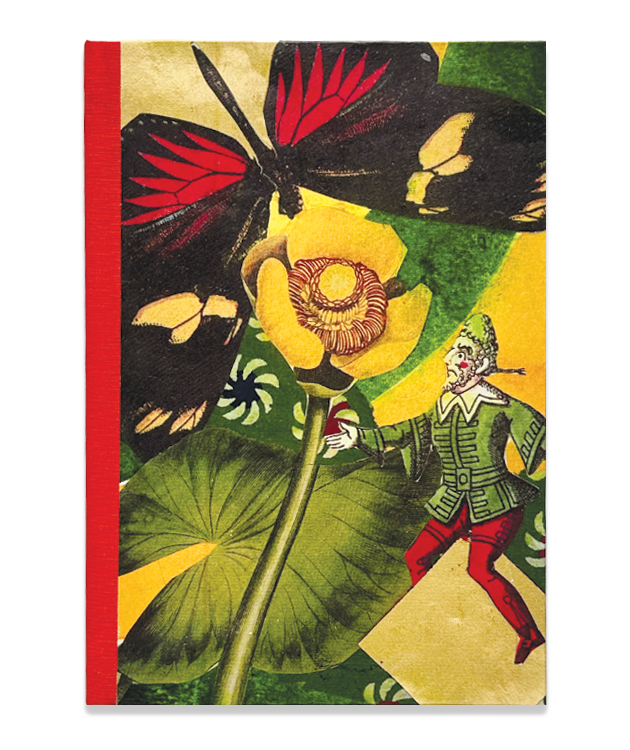 Lilypad Butterfly Journal