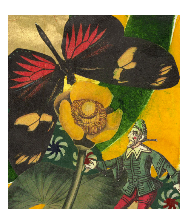 Lilypad Matchbox