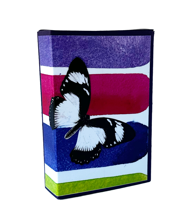 Of All Stripes Matchbox