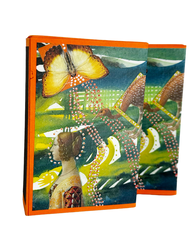 Ostrich Matchbox