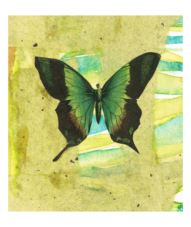 Spring Equinox Matchbox