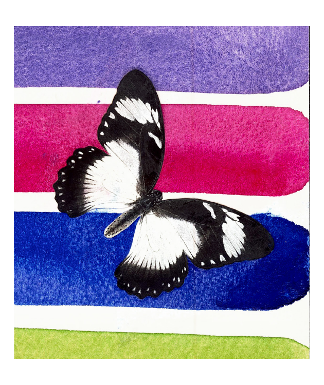 Of All Stripes Matchbox