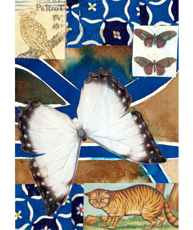 Butterflies for Bailey No. 174