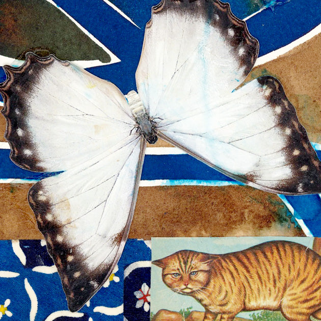 Butterflies for Bailey No. 174