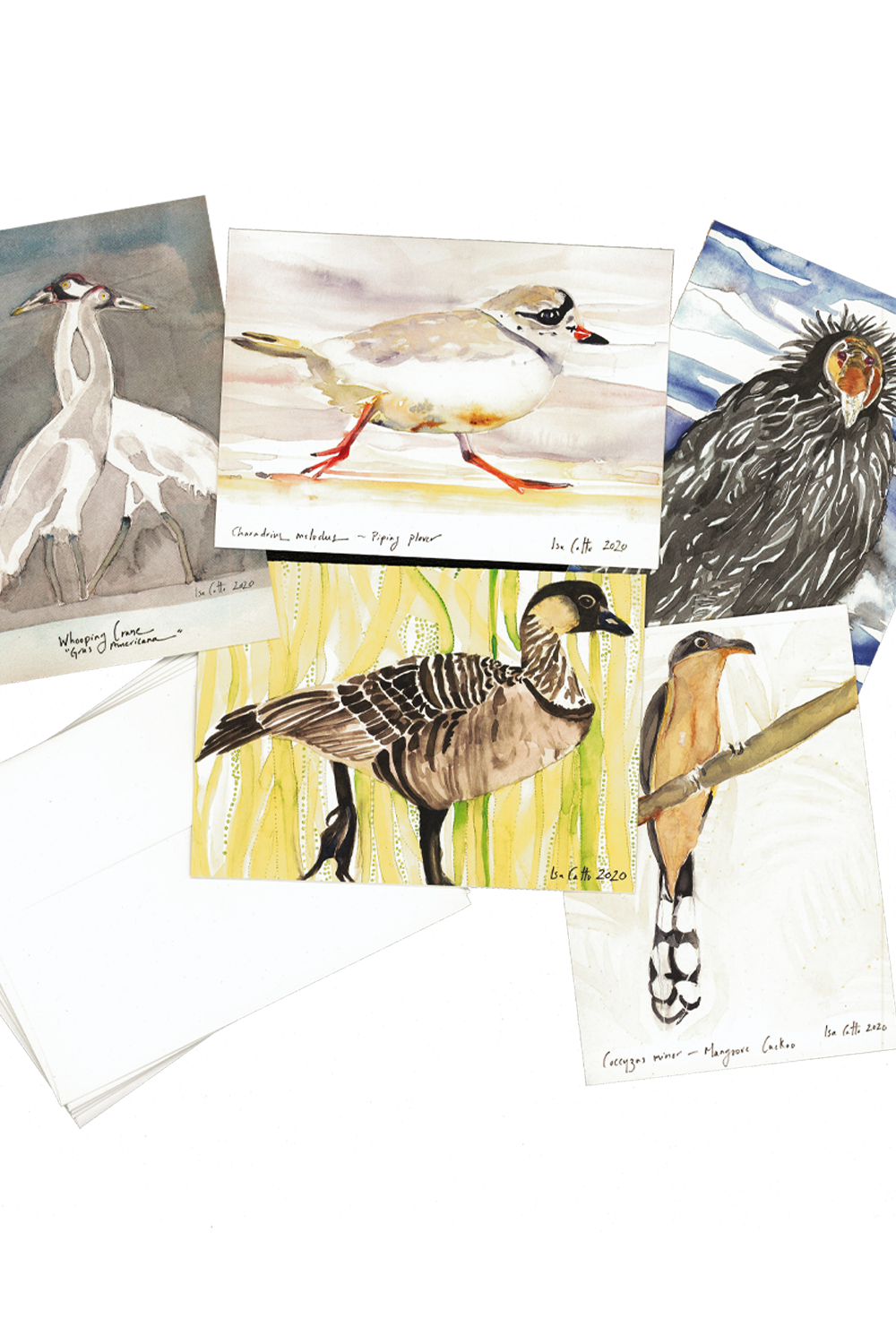 Watercolor Birds Notecard Set – Isa Catto Studio