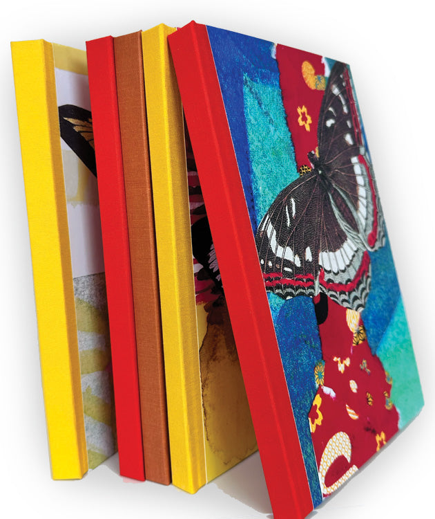Butterfly Effect Journal 03