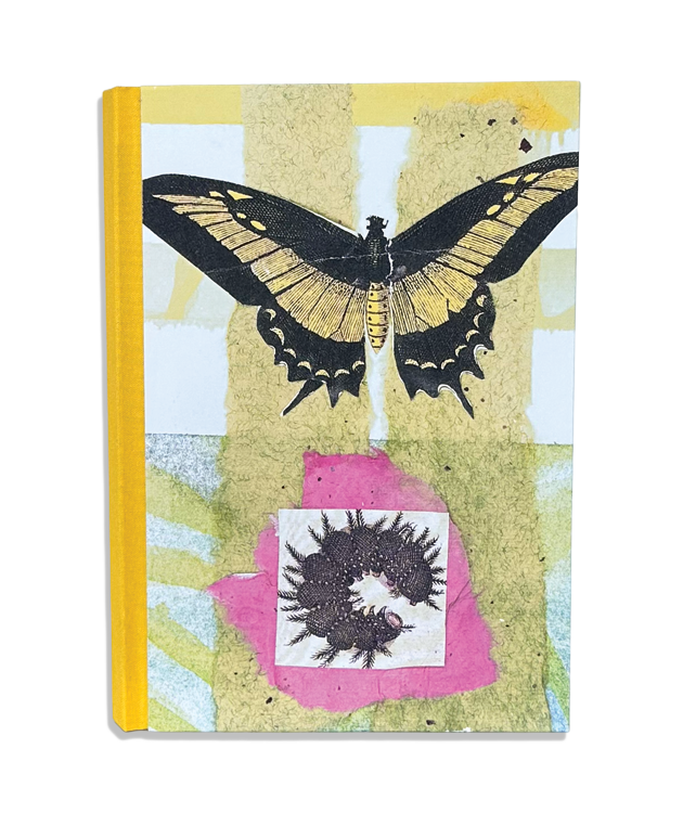 Butterfly Effect Journal 03