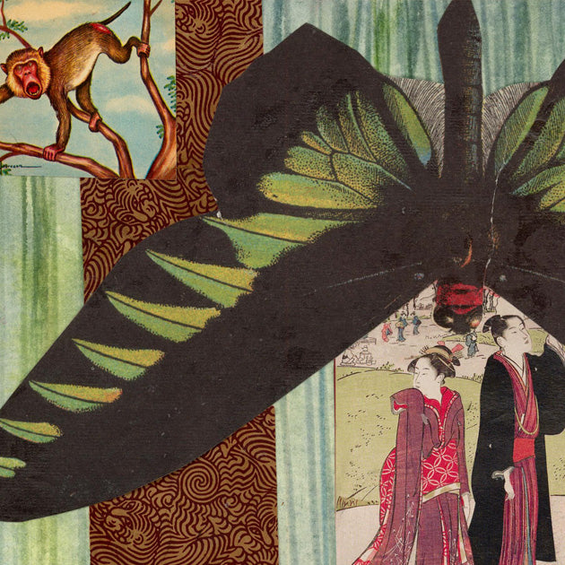 Butterflies for Bailey No. 159