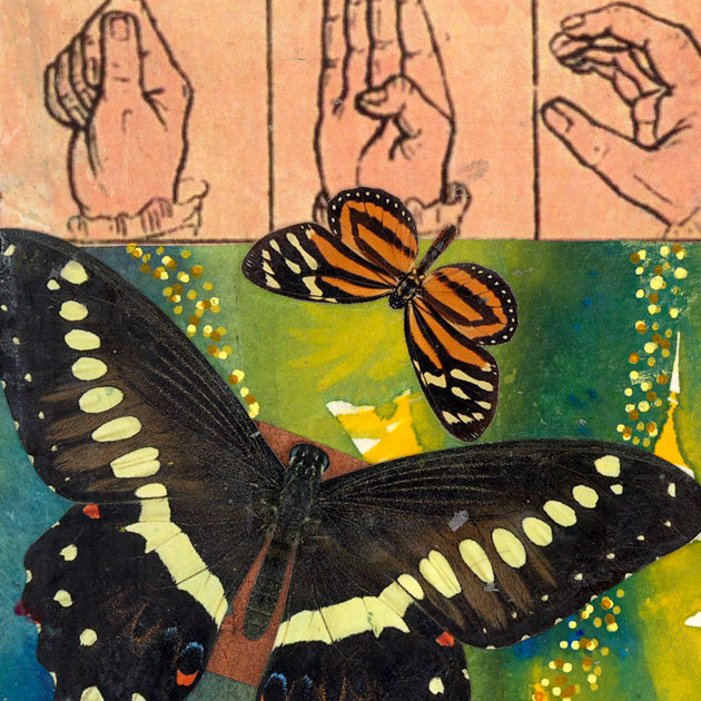 Butterflies for Bailey No. 171