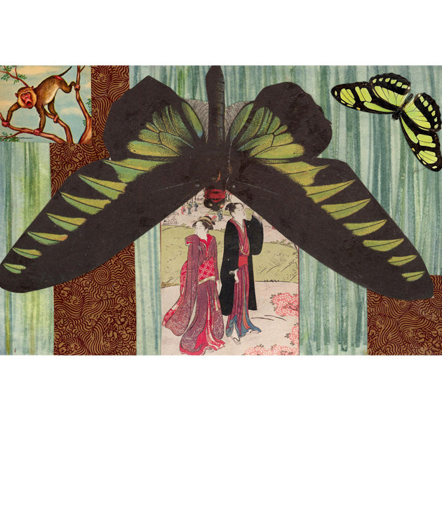 Butterflies for Bailey No. 159