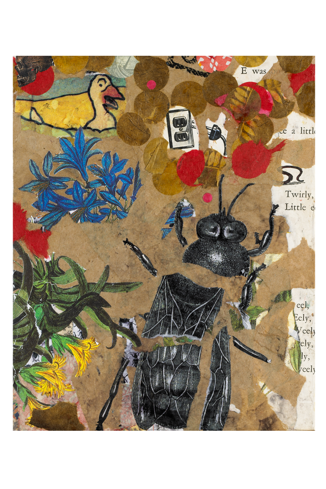 mixed-media piece with torn brown and red paper, colorful botanical illustrations, typography, and a torn black and white illustration of a bee