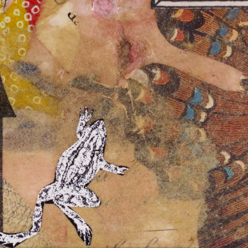 a frog creeping up to a butterfly
