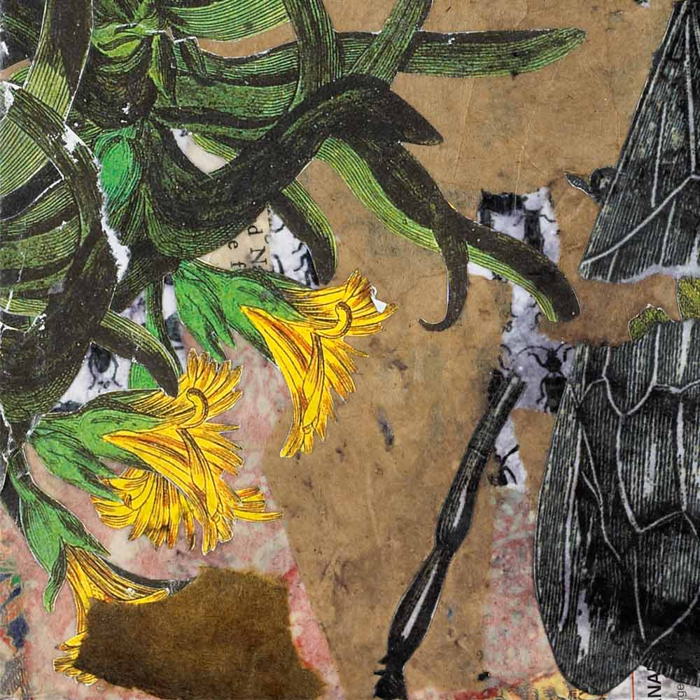 close up of a mixed-media piece with torn brown paper, a botanical illustration of yellow flowers with green leaves, and the leg and wing of a black and white illustration of a bee