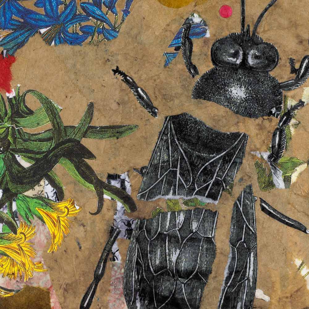 close up of a mixed-media piece with torn brown paper, colorful botanical illustrations, and a torn black and white illustration of a bee